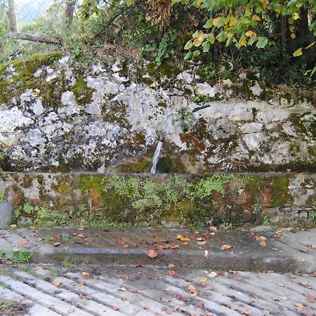 La Currada Βίλα Taranes Εξωτερικό φωτογραφία